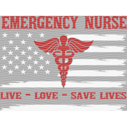 nurse-HS 491